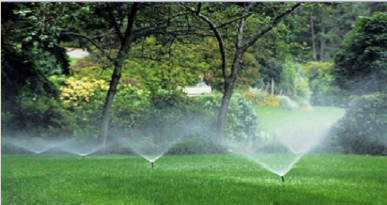 How to hire the best sprinkler repair service company online?