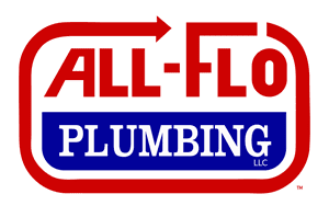 Aspects of Professional Plumbing Service